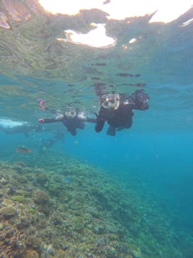 青の洞窟専門店　沖縄ダイビングショップ和に投稿された画像（2023/6/20）