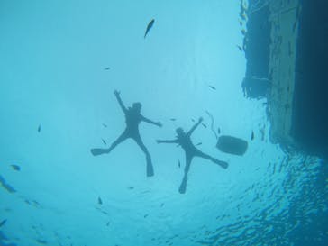 青の洞窟専門店　沖縄ダイビングショップ和に投稿された画像（2023/6/20）