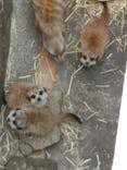 伊豆シャボテン動物公園に投稿された画像（2023/6/21）