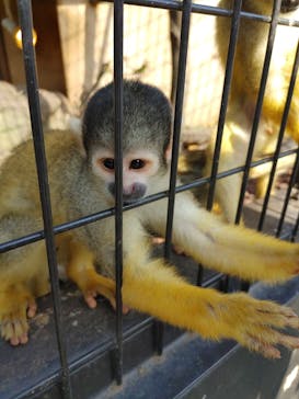 伊豆シャボテン動物公園に投稿された画像（2023/6/20）