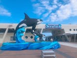 鴨川シーワールドに投稿された画像（2023/6/21）