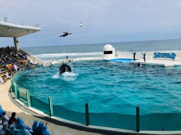 鴨川シーワールドに投稿された画像（2023/6/20）