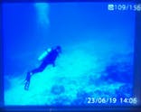 青の洞窟専門店　沖縄ダイビングショップ和に投稿された画像（2023/6/21）