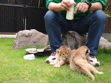 しろとり動物園に投稿された画像（2023/6/20）