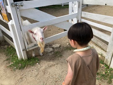NESTA RESORT KOBE（ネスタリゾート神戸）に投稿された画像（2023/6/20）