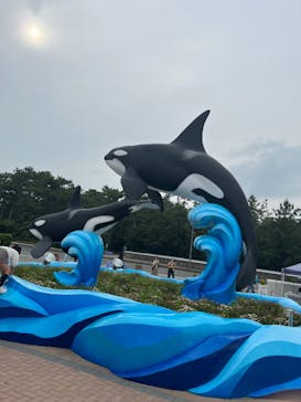 鴨川シーワールドに投稿された画像（2023/6/20）