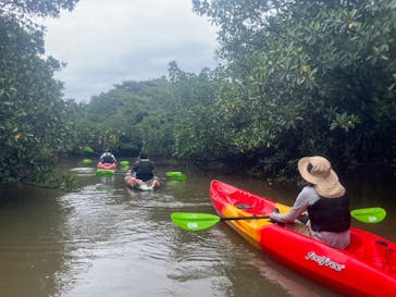 西表島 ADVENTURE PiPi（アドベンチャーピピ）に投稿された画像（2023/6/20）