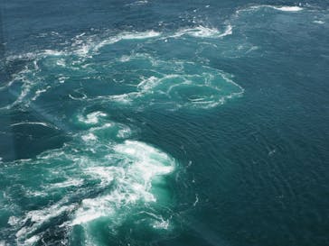 徳島県立 渦の道に投稿された画像（2023/6/20）