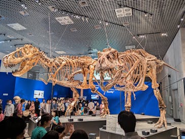 特別展「恐竜博2023」に投稿された画像（2023/6/21）