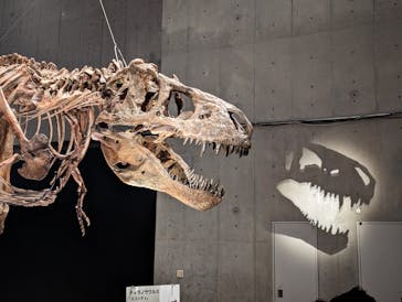 特別展「恐竜博2023」に投稿された画像（2023/6/21）