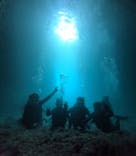 青の洞窟専門店　沖縄ダイビングショップ和に投稿された画像（2023/6/21）