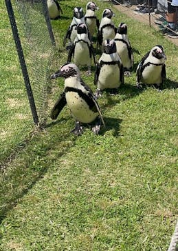 名古屋港水族館に投稿された画像（2023/6/21）