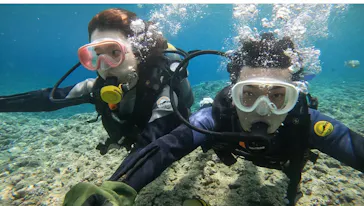 武藤潜水に投稿された画像（2023/6/21）