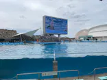 名古屋港水族館に投稿された画像（2023/6/21）