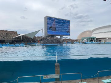 名古屋港水族館に投稿された画像（2023/6/21）