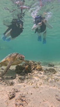 オースリーシュノーケル宮古島に投稿された画像（2023/6/21）