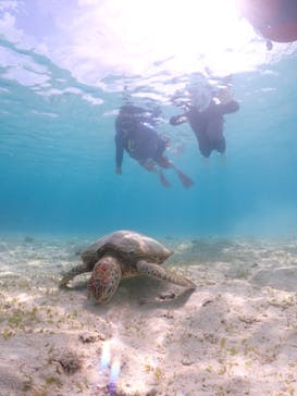 宮古島マリン GB QUESTに投稿された画像（2023/6/21）