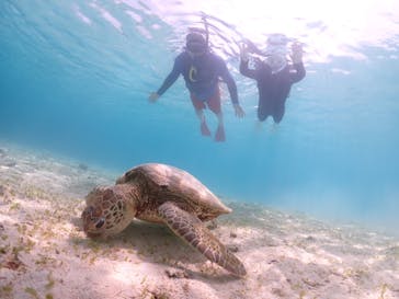 宮古島マリン GB QUESTに投稿された画像（2023/6/21）