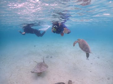 宮古島マリン GB QUESTに投稿された画像（2023/6/21）