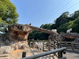 到津の森公園に投稿された画像（2023/6/21）