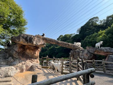 到津の森公園に投稿された画像（2023/6/21）