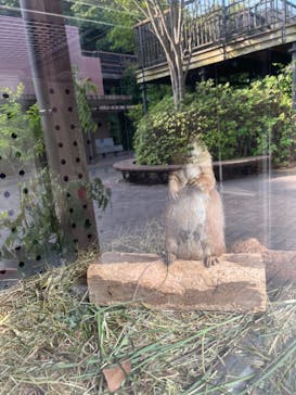 到津の森公園に投稿された画像（2023/6/21）