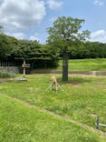 千葉市動物公園に投稿された画像（2023/6/21）