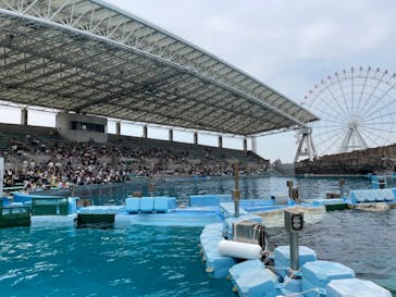 名古屋港水族館に投稿された画像（2023/6/21）