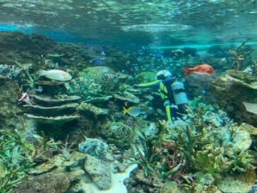 名古屋港水族館に投稿された画像（2023/6/21）