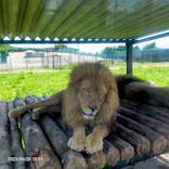 岩手サファリパークに投稿された画像（2023/6/21）