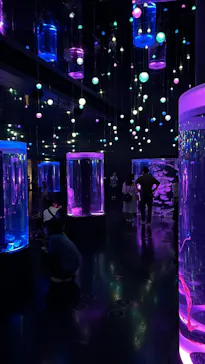 マクセル アクアパーク品川に投稿された画像（2023/6/21）