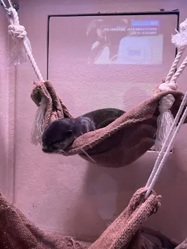 マクセル アクアパーク品川に投稿された画像（2023/6/21）