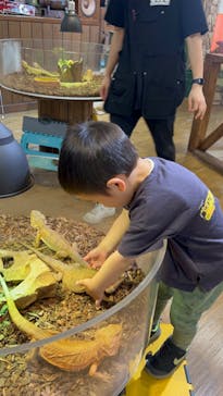 NARA KINGYO MUSEUMに投稿された画像（2023/6/21）