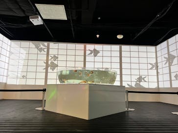 NARA KINGYO MUSEUMに投稿された画像（2023/6/21）