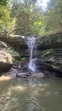 西表島 ADVENTURE PiPi（アドベンチャーピピ）に投稿された画像（2023/6/21）