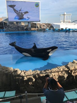 名古屋港水族館に投稿された画像（2023/6/21）