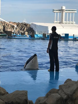 名古屋港水族館に投稿された画像（2023/6/21）