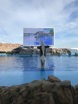 名古屋港水族館に投稿された画像（2023/6/21）
