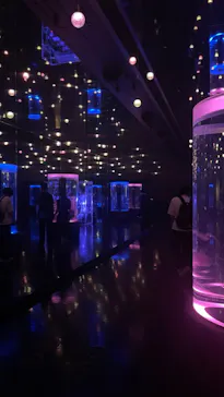 マクセル アクアパーク品川に投稿された画像（2023/6/22）