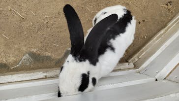 NESTA RESORT KOBE（ネスタリゾート神戸）に投稿された画像（2023/6/22）