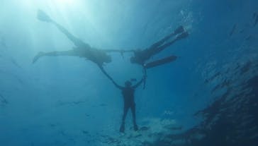 西表島 ADVENTURE PiPi（アドベンチャーピピ）に投稿された画像（2023/6/22）