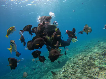 武藤潜水に投稿された画像（2023/6/22）