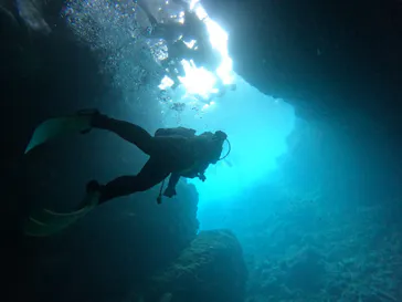 武藤潜水に投稿された画像（2023/6/22）
