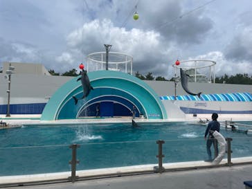 鴨川シーワールドに投稿された画像（2023/6/22）