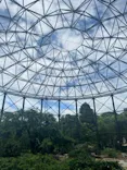 天王寺動物園に投稿された画像（2023/6/22）
