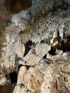 石垣島鍾乳洞に投稿された画像（2023/6/22）