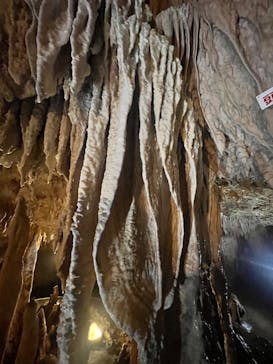 石垣島鍾乳洞に投稿された画像（2023/6/22）