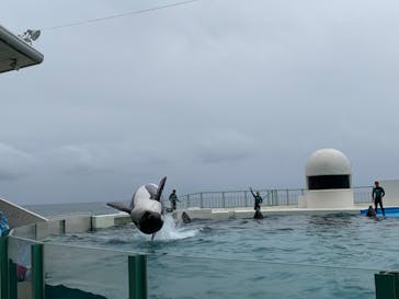 鴨川シーワールドに投稿された画像（2023/6/22）