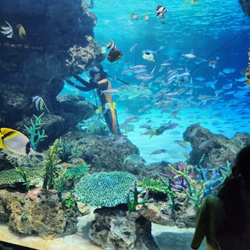 サンシャイン水族館に投稿された画像（2023/6/22）