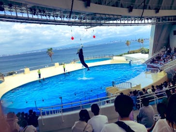 マリンワールド海の中道に投稿された画像（2023/6/22）